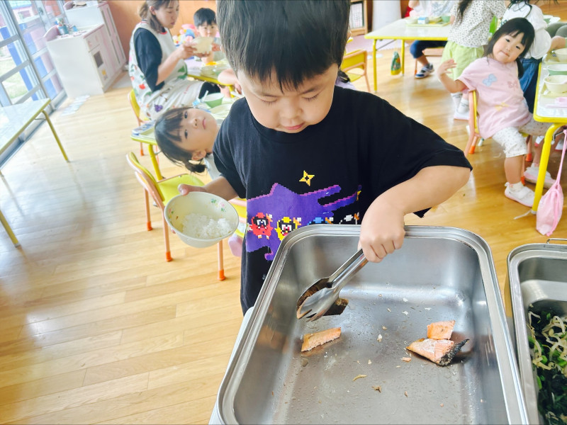 Image - 2025-06-11T111523.149