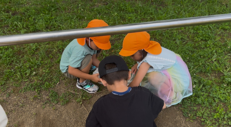 Image - 2025-06-19T160921.808