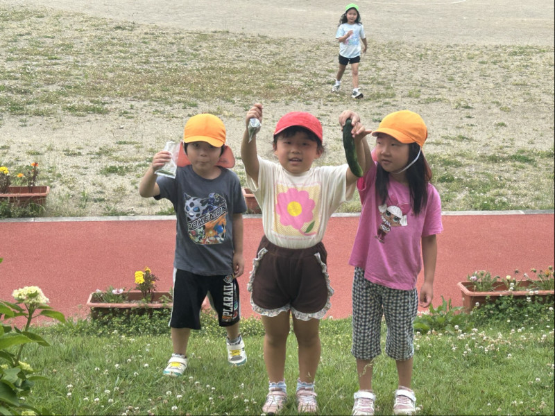 Image - 2025-06-19T155149.037