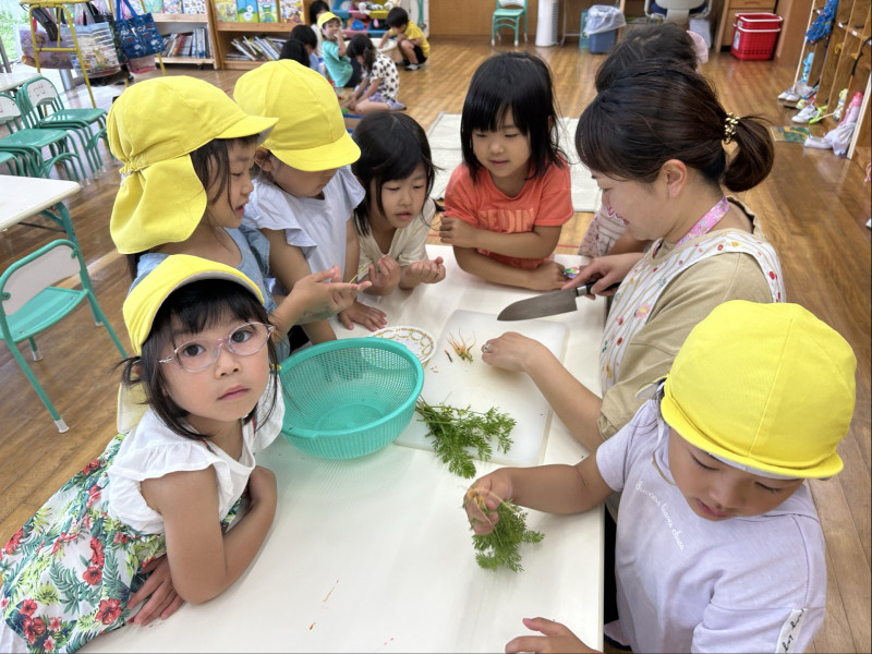 Image - 2025-06-23T133312.503