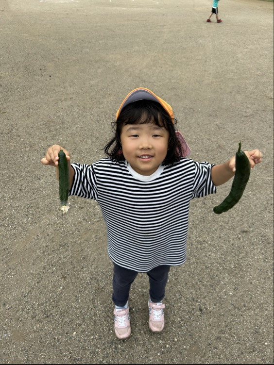 Image - 2025-06-23T133315.068