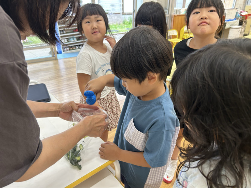 Image - 2025-06-23T133306.101