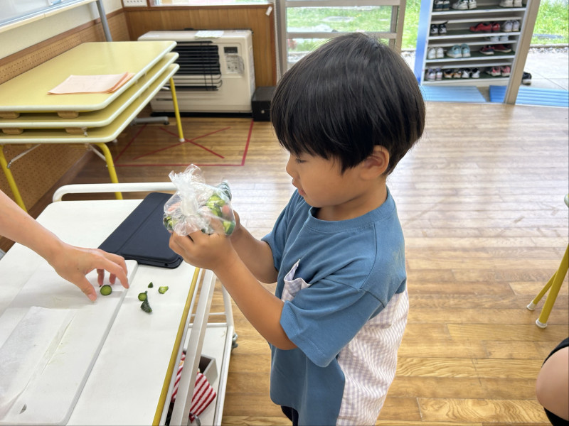 Image - 2025-06-23T133303.657