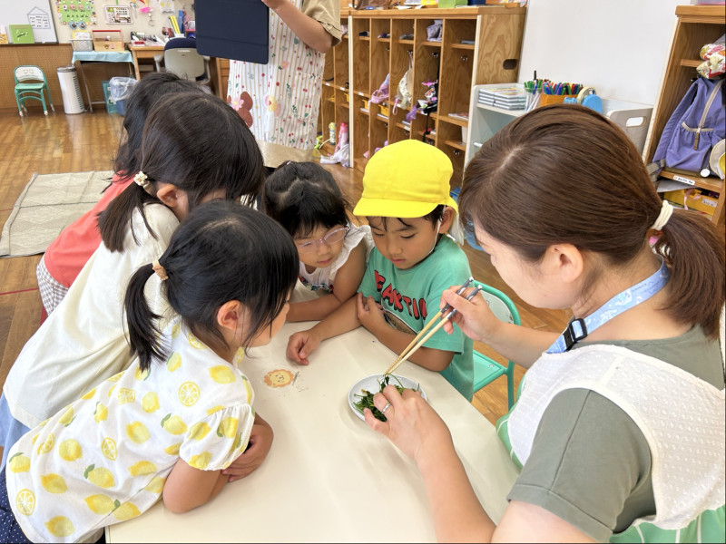 Image - 2025-06-23T133301.700