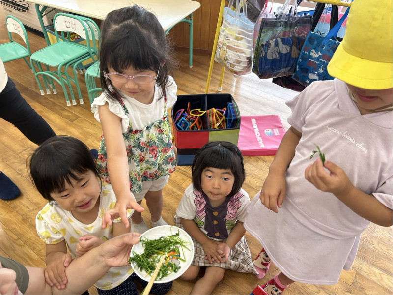 Image - 2025-06-23T133235.494