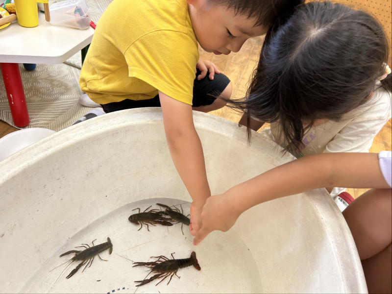 Image - 2025-06-23T133310.363