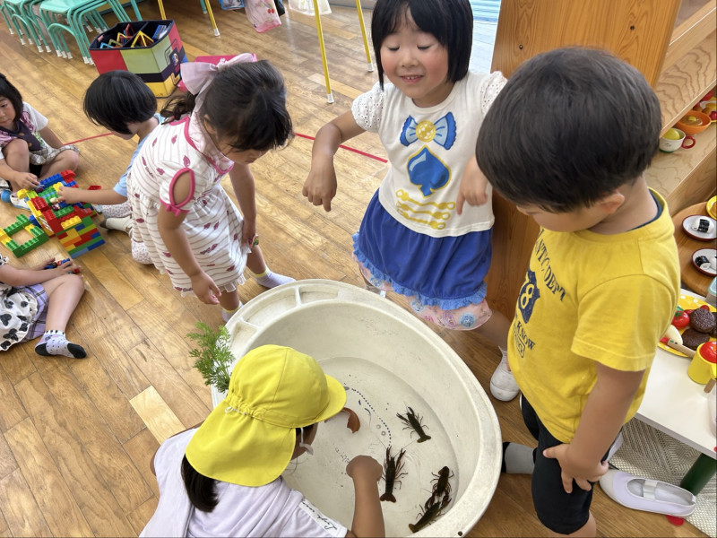 Image - 2025-06-23T133308.183