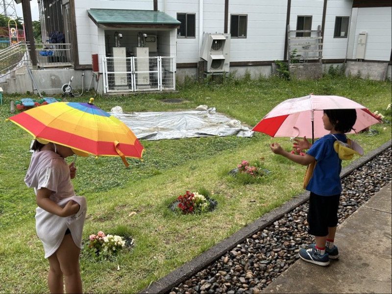 Image - 2025-06-23T133255.987