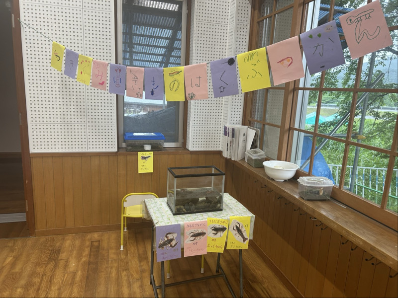 Image - 2025-06-26T152504.089