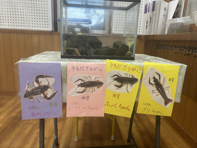 Image - 2025-06-26T152456.801