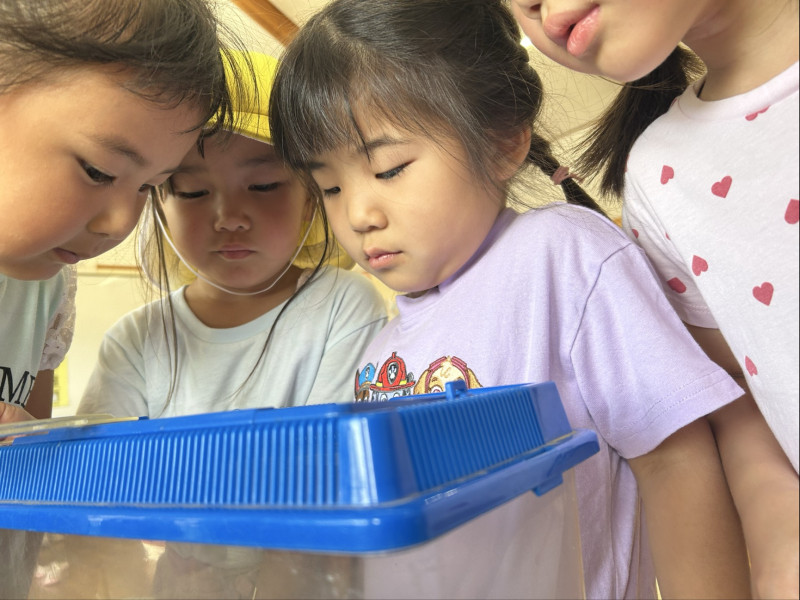 Image - 2025-06-26T152632.673