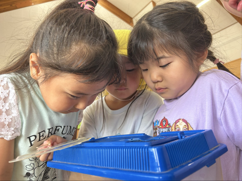 Image - 2025-06-26T152629.693