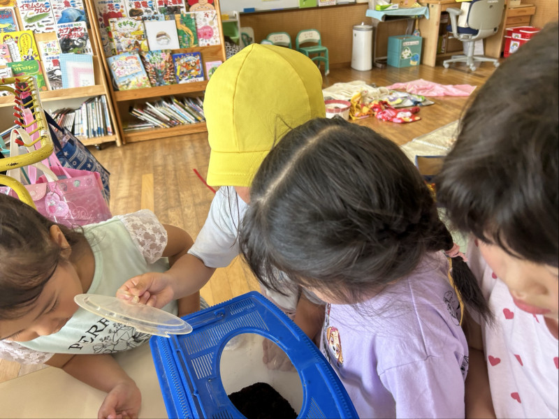 Image - 2025-06-26T152635.979