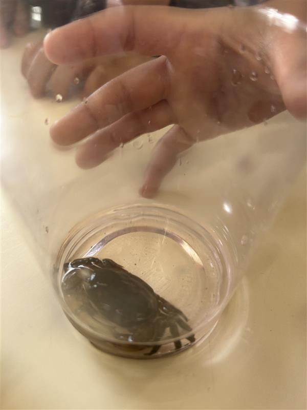 Image - 2025-06-26T152623.331