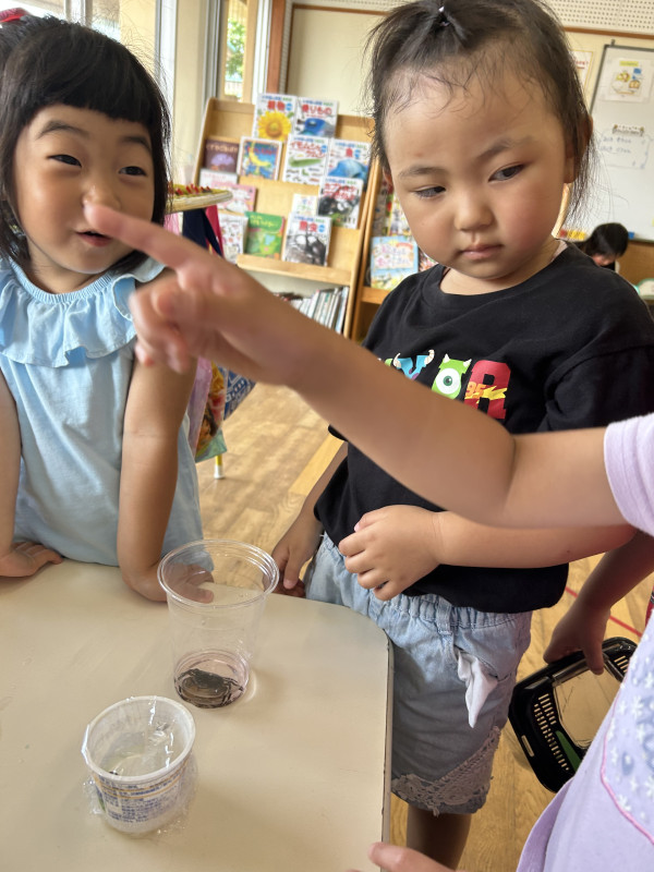 Image - 2025-06-26T152626.761