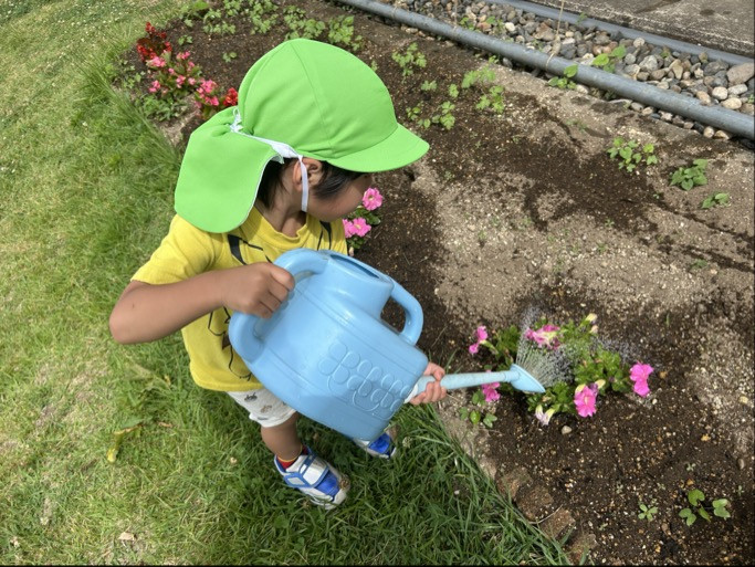 Image - 2025-06-26T152646.711