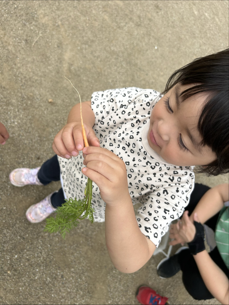 Image - 2025-06-26T152643.253