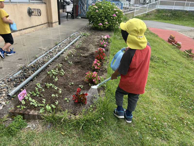 Image - 2025-06-26T152656.875