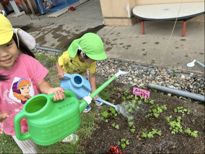 Image - 2025-06-26T152649.733