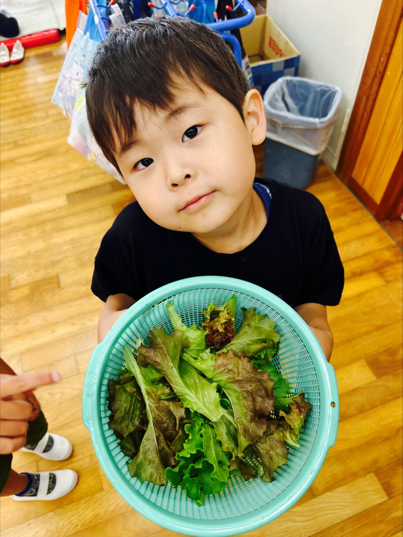 Image - 2025-06-27T135747.423