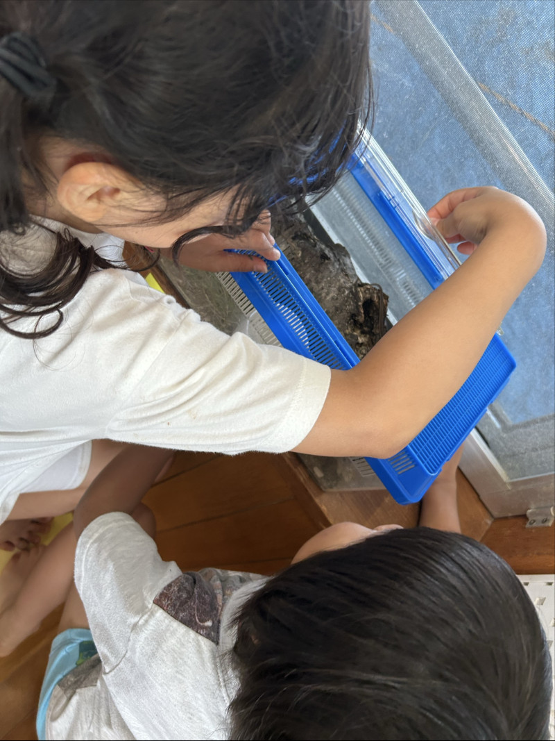 Image - 2025-07-01T164252.108