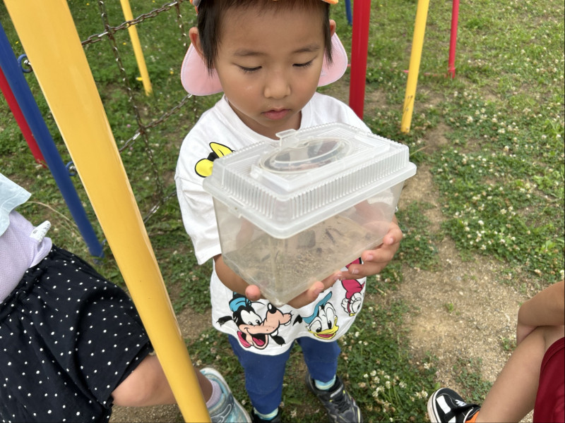 Image - 2025-07-01T164305.517