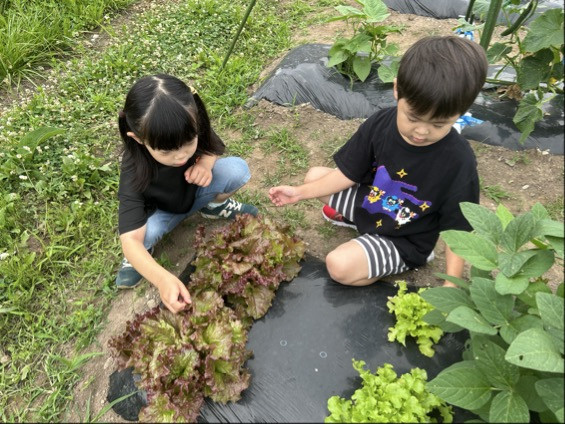 Image - 2025-07-01T164325.057