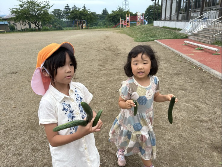 Image - 2025-07-01T164326.952