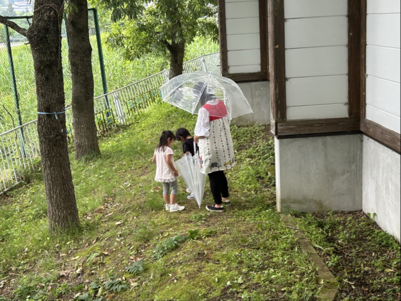 Image - 2025-07-01T164300.459