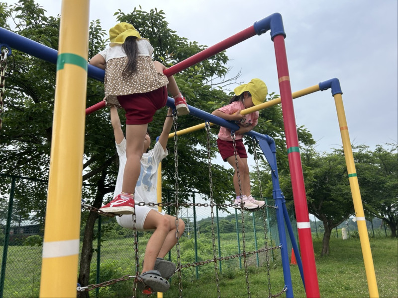 Image - 2025-07-01T164307.770