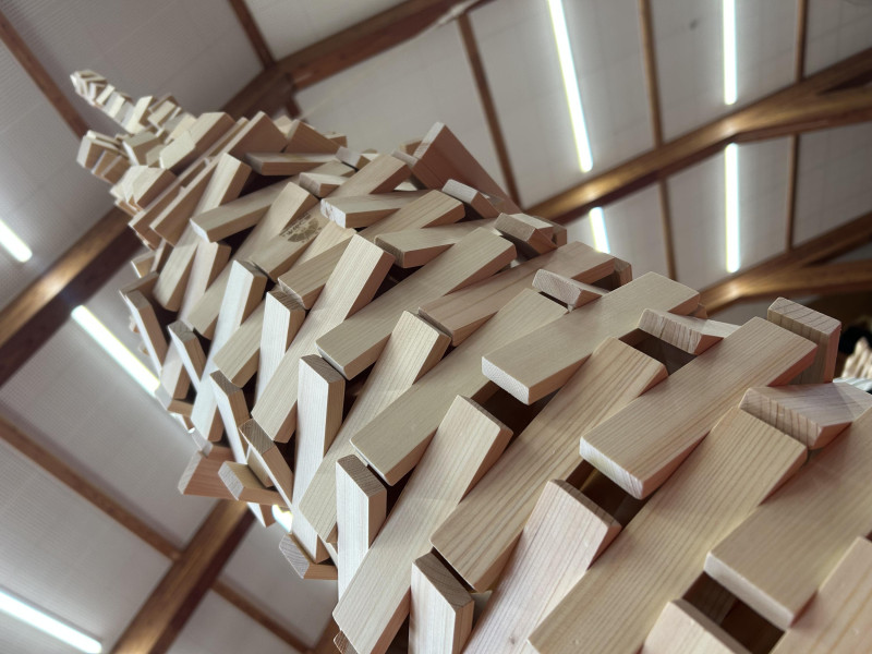 IMG_6140_20250704161419669