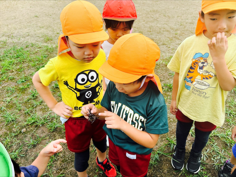 Image - 2025-09-04T110325.443