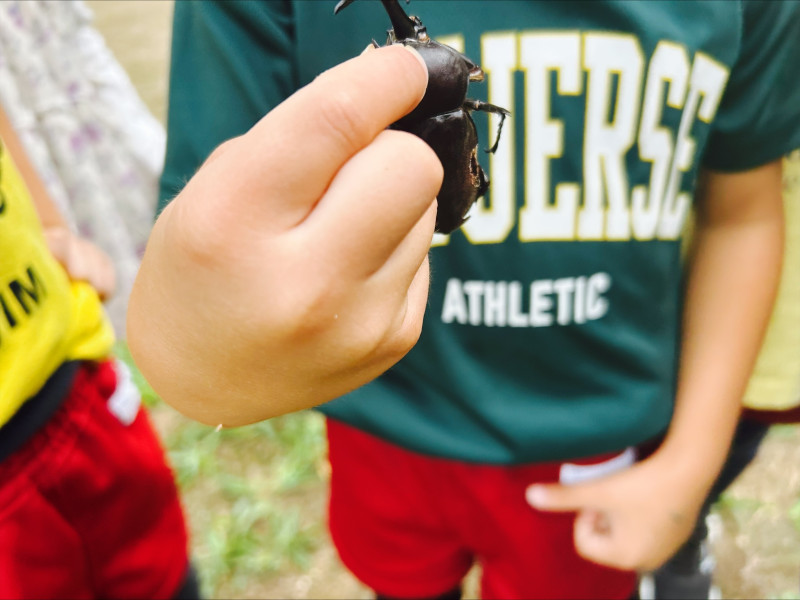 Image - 2025-09-04T110319.319