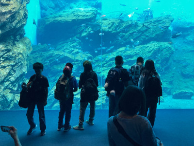 修学旅行 水族館1