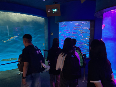 修学旅行 水族館3