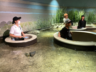 修学旅行 水族館4