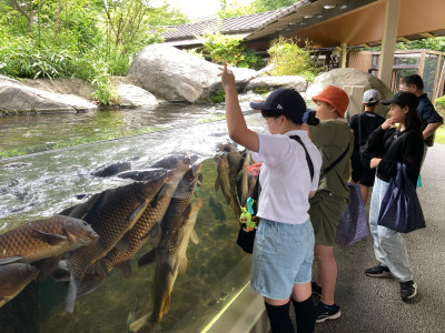 修学旅行 水族館6